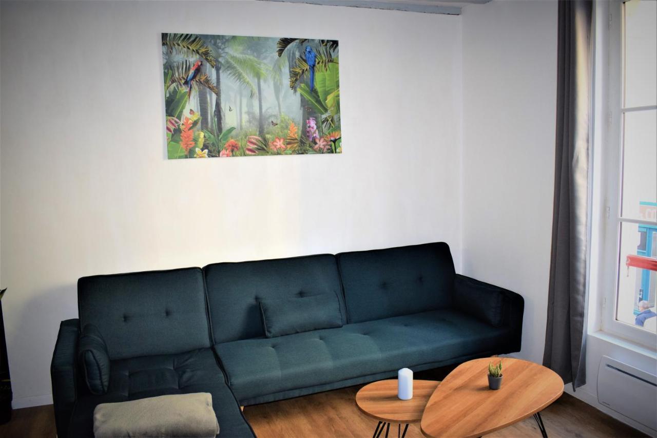 Gite Le Nid Des Zoo Zio, 5Mn Beauval, Appartement Terrasse Centre-Ville Saint-Aignan  Zewnętrze zdjęcie